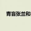 青盲张兰和行良是什么关系（青盲张兰）