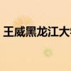 王威黑龙江大学法学院（黑龙江大学法学院）