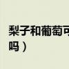 梨子和葡萄可以同吃吗（葡萄和梨子能一起吃吗）