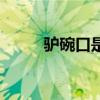 驴碗口是哪个部位图片（驴碗口）