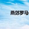 燕郊罗马假日技师（燕郊罗马假日）