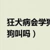 狂犬病会学狗叫吗?原因大揭秘!（狂犬病会学狗叫吗）