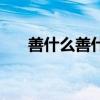 善什么善什么的词语（善什么善什么）
