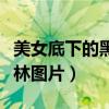 美女底下的黑森林图片大全（美女底下的黑森林图片）