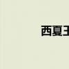西夏王李元昊（情系西夏王）