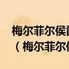 梅尔菲尔侯爵玫瑰红葡萄酒2006年份多少钱（梅尔菲尔侯爵）