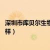 深圳市库贝尔生物科技股份有限公司官网(深圳库贝尔 怎么样) 深圳市库贝尔生物科技股份有限公司官网(深圳库贝尔 怎么样)