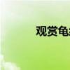 观赏龟经典图鉴（观赏龟之家）