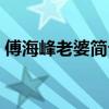 傅海峰老婆简介百度百科（傅海峰老婆简介）