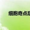 细胞奇点后期怎么玩（细胞奇点结局）