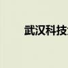 武汉科技大学团委全称（团委全称）