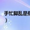手忙脚乱是指什么生肖（手忙脚乱是什么生肖）