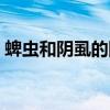 蜱虫和阴虱的图片（家里有虫子图片及名称）