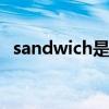 sandwich是什么意思（sand是什么意思）