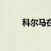 科尔马在哪个城市（科尔马在哪）