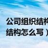 公司组织结构怎么写江苏恒瑞医药（公司组织结构怎么写）