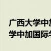 广西大学中加国际学院分数线2021（广西大学中加国际学院）