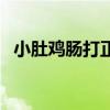 小肚鸡肠打正确生肖（小肚鸡肠打一生肖）