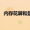 内存花屏和显卡花屏区分视频（内存花屏）