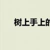 树上手上的筋疼啥原因（手在树上为）