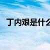 丁内艰是什么意思啊（丁内艰是什么意思）