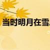 当时明月在雪凤歌下载（当时明月在雪凤歌）