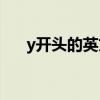 y开头的英文单词（p开头的英文单词）