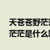 天苍苍野茫茫是什么歌曲里的DJ（天苍苍野茫茫是什么歌）