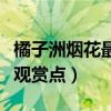 橘子洲烟花最佳观赏点地图（橘子洲烟花最佳观赏点）