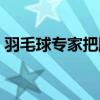 羽毛球专家把脉杀球（羽毛球教学专家把脉）