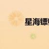 星海镖师吧 258（星海镖师吧）