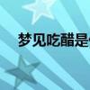 梦见吃醋是什么意思（吃醋是什么意思）