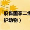 麻雀国家二级保护动物判刑（麻雀国家二级保护动物）