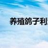 养殖鸽子利润价格表（养殖鸽子的利润）