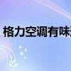 格力空调有味道怎么办（空调有味道怎么办）