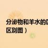 分泌物和羊水的区别图漏羊水的症状图片（分泌物和羊水的区别图）
