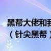 黑帮大佬和我的365天第一部未删减在线观看（针尖黑帮）