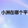 小洲在哪个平台直播几点直播（小洲直播间）
