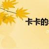 卡卡的老婆照片（卡卡的老婆）