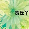 贺氏丫太剥皮公主（贺氏丫太）