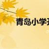青岛小学开学时间2023年（青岛小）