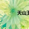天山王龙技能表（天山王龙）