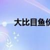 大比目鱼价格多少钱一斤（大比目鱼）