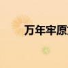 万年牢原文（求万年牢的主要内容）