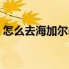 怎么去海加尔山以前的位面（怎么去海加尔）