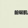 前锯肌起止点及功能(前锯肌) 前锯肌起止点及功能(前锯肌)