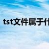 tst文件属于什么文件（tslog是什么文件夹）