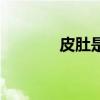 皮肚是什么东西做的（皮肚）