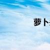萝卜头是哪国人（萝卜头）