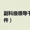 副科级领导干部选拔条件（副科级干部提拔条件）